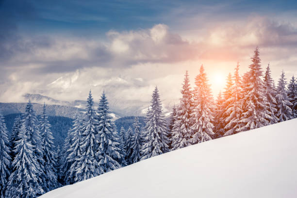istock Amazing winter in the mountains 1362875333