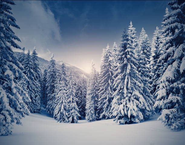 istock Amazing winter landscape 1362875338
