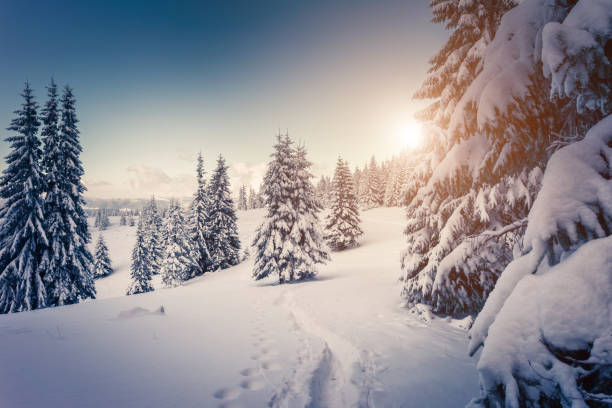 istock Amazing winter landscape 1362875343