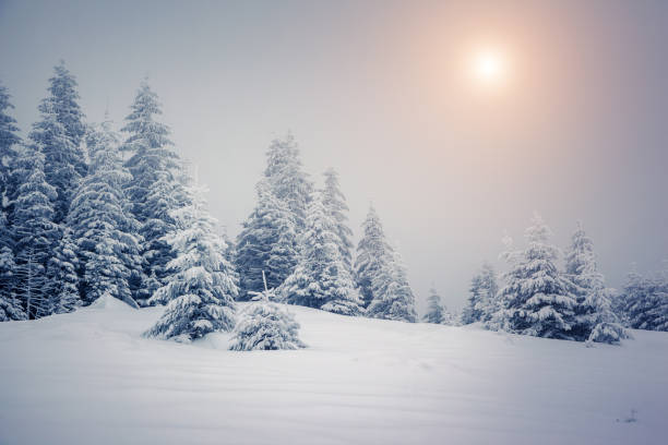istock Amazing winter landscape 1362875351