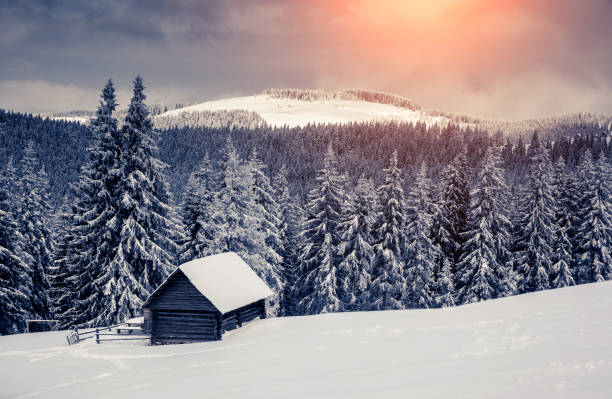 istock Amazing winter landscape 1362875369