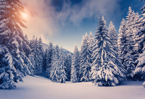 istock Amazing winter landscape 1362875407