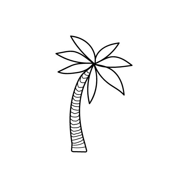 illustrations, cliparts, dessins animés et icônes de palmier griffonné dessiné à la main - palm tree leaf tree frond