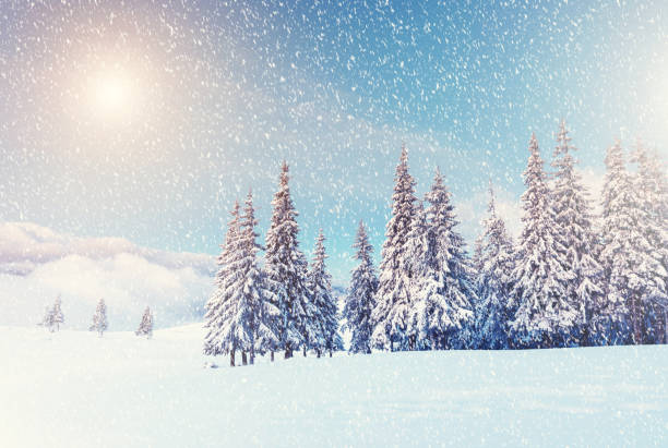 istock Amazing winter landscape 1362875467