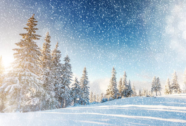 istock Amazing winter landscape 1362875472