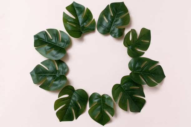 istock Trendy flat lay with green leaves, frame on pink background. Modern design. 1362876434