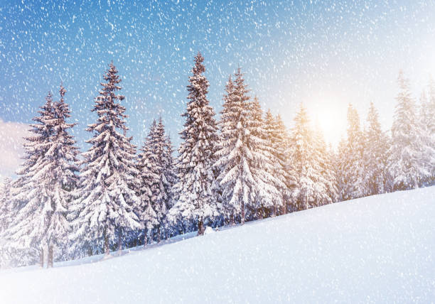 istock Amazing winter landscape 1362877642