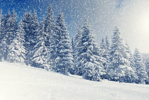istock Amazing winter landscape 1362877688