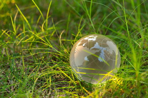 crystal globe ball on grass with sunlight