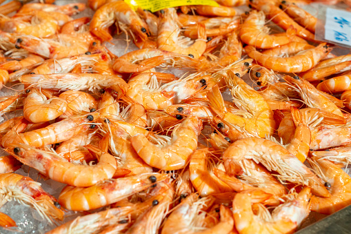 Shrimps at Mercado Central in Valencia, Spain