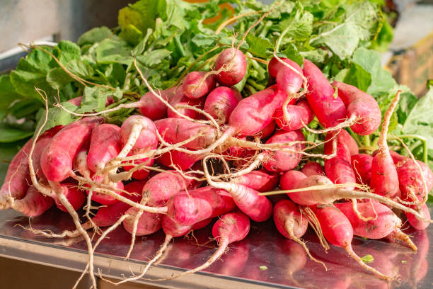 istock Radish at Mercado Central (Central Market) in Valencia, Spain 1362891855