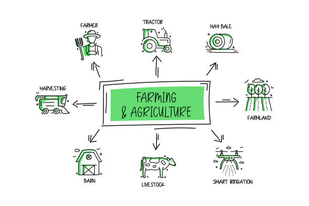 ilustrações, clipart, desenhos animados e ícones de objetos e elementos relacionados à agricultura e agricultura. coleção de ilustração de rabisco de vetor desenhado à mão. conjunto de ícones desenhados à mão. - farmer farm agriculture tractor