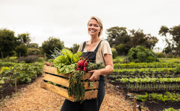 istock Happy female farmer holding a box with fresh produce 1362893165