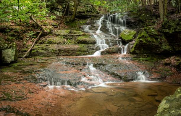istock Waterfalls in the Forest 1362893398