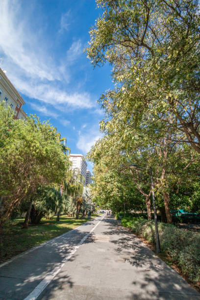 istock Turia Riverbed Park in Valencia, Spain 1362893952
