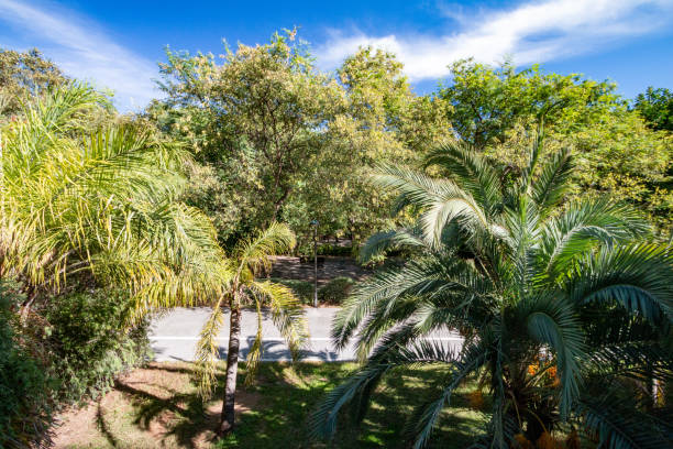 Turia Riverbed Park in Valencia, Spain
