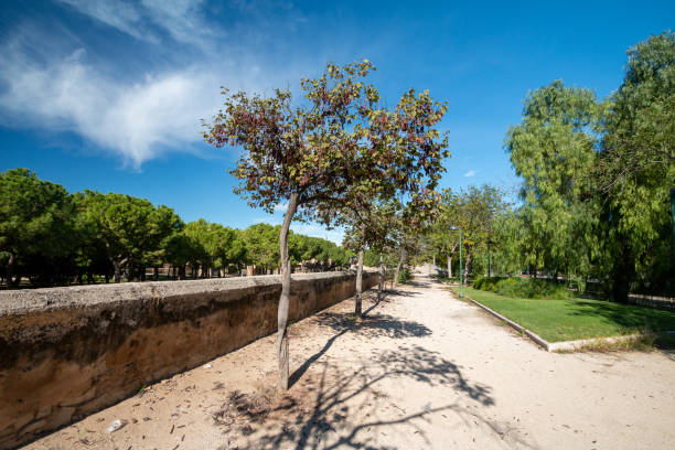 Turia Riverbed Park (Jardín del Turia - Tramo VIII) in Valencia, Spain