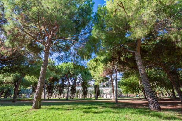 istock Turia Riverbed Park (Jardín del Turia - Tramo VIII) in Valencia, Spain. 1362894537
