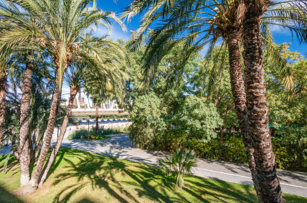 Turia Riverbed Park in Valencia, Spain