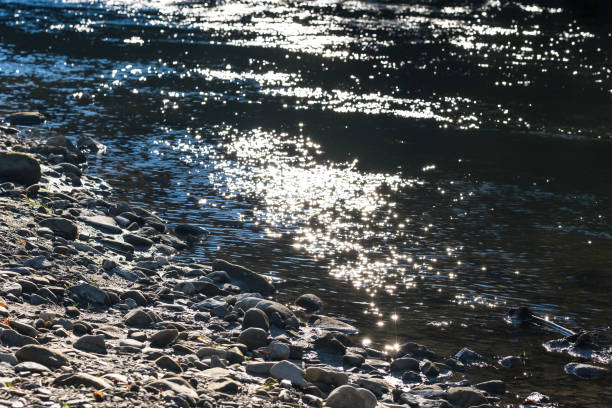 istock Small mountain river in the Carpathians 1362896878