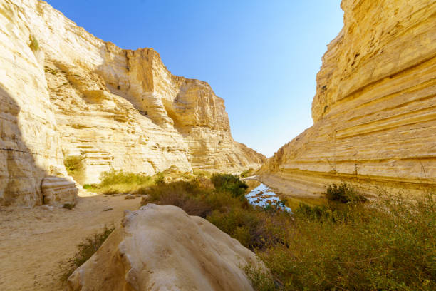 istock Ein Avdat National Park Canyon, oasis in the Negev Desert 1362897497