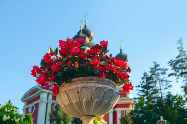 Flower pot with red flowers . Ornamental Garden in Churchyard