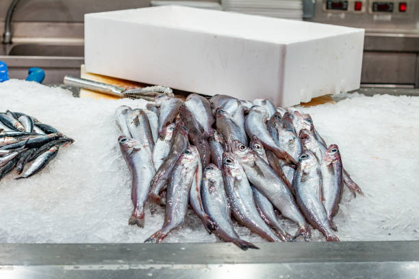 istock Fish Market at Mercado Central (Central Market) in Valencia, Spain 1362898168