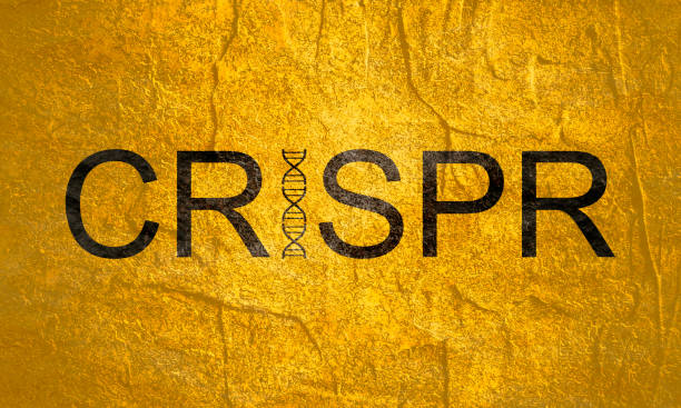 CRISPR system for editing, regulating and targeting genomes word Biochemistry concept. DNA sign. Medical research background naming organic compounds stock illustrations