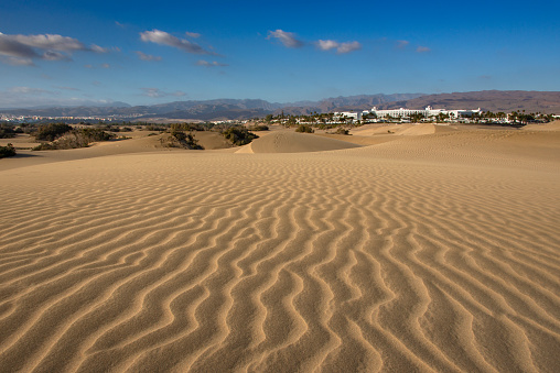 Apartments and hotels in the background of the famous and protected sand dunes of Maspalomas, Gran Canaria, Spain.
