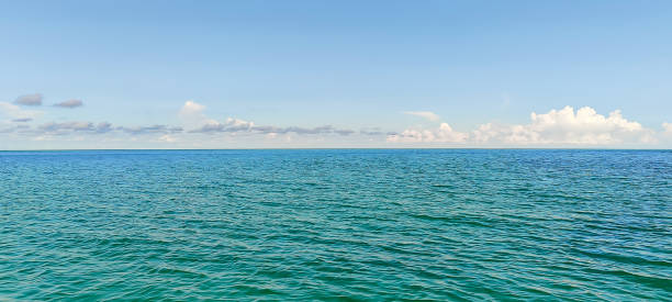 istock Sea horizon and blue sky view on sunny day 1362901303