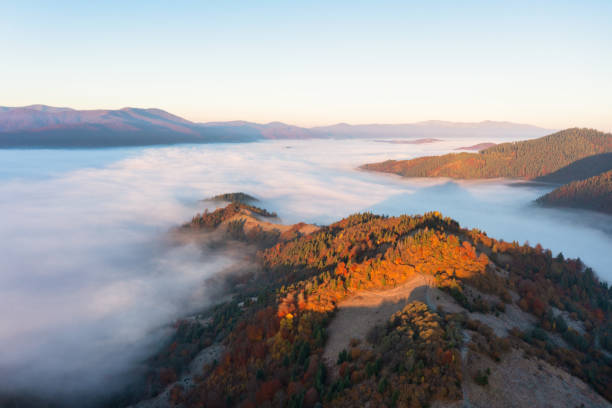istock Mountains with colorful trees covered with layer of fog 1362901812