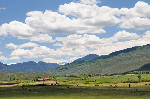 istock Colorado Ranch by the Rocky Mountains 136290274