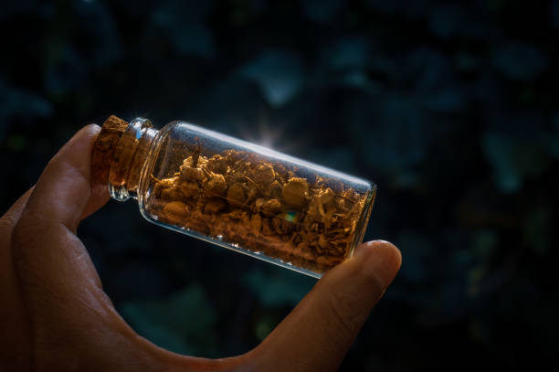 close-up image of someone holding a glass stopper bottle filled with dried chamomile
