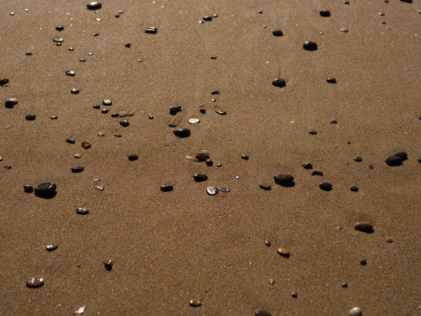 Close-up view of a natural sandy surface with small brown stones embedded, creating a peaceful textured design. Captures the beauty of minimalist beach sceneries and the smooth patterns formed by wave actions.