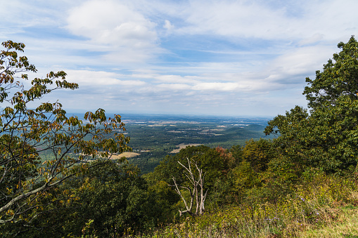 View of Back Creek Valley and onto Torrey Ridge from Rock Point Overlook on the Blue Ridge Parkway.