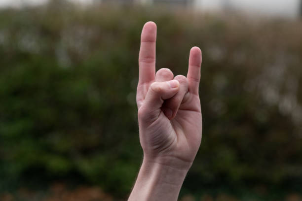 istock Hand gestures rock and roll sign 1362914158