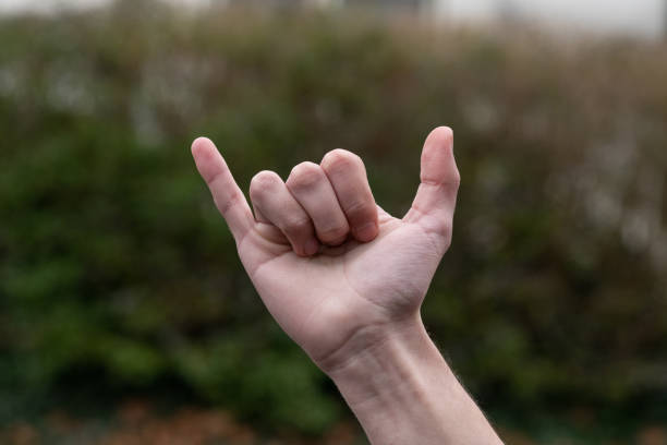istock Hand gestures nice job and The shaka sign 1362914192
