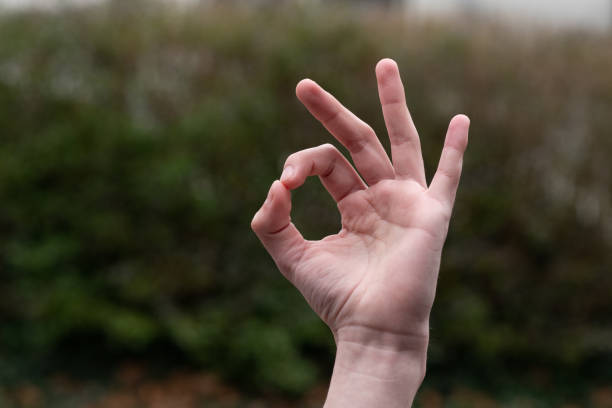 istock Hand gestures excellent  okay and good 1362914229