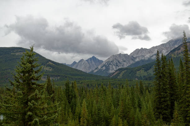 istock Mystic Peak & Mt Ishbel 1362914839