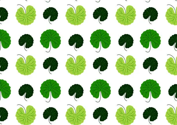 Vector illustration of Gotu kola leaf seamles pattern