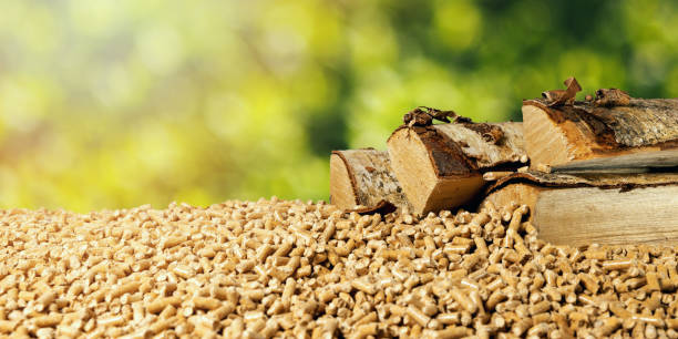 biomass - wood pellets and birch firewood on green leaf background. renewable energy stock photo