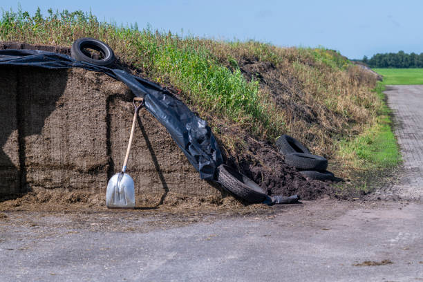 istock Shovel against silage in a pit on a dairy farm in the Netherlands 1362926291