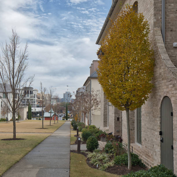 istock Generic Suburban Row Houses 1362926670