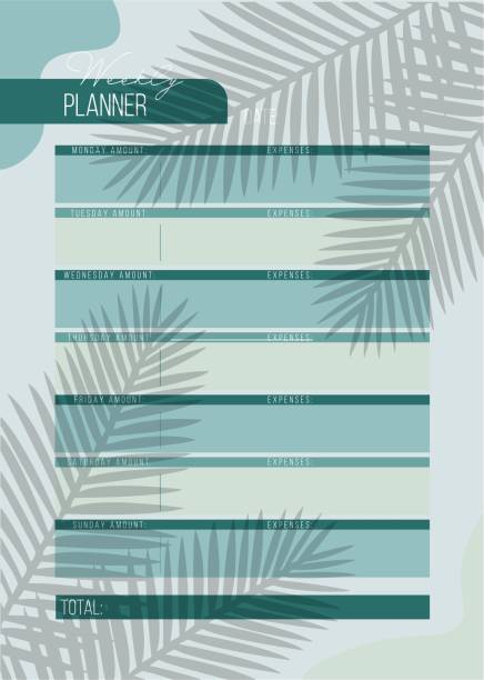 персональный планировщик недельного бюджета в формате а4. - weekly budget stock illustrations