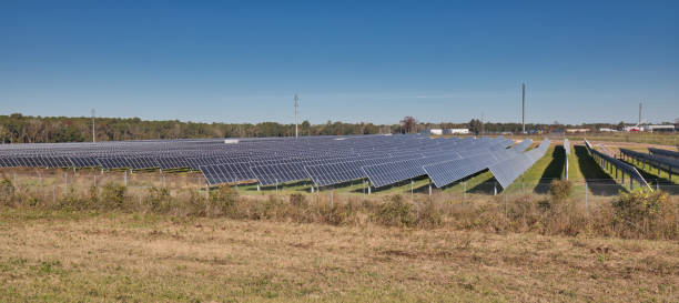 istock Florida Field of Solar Panels 1362926969