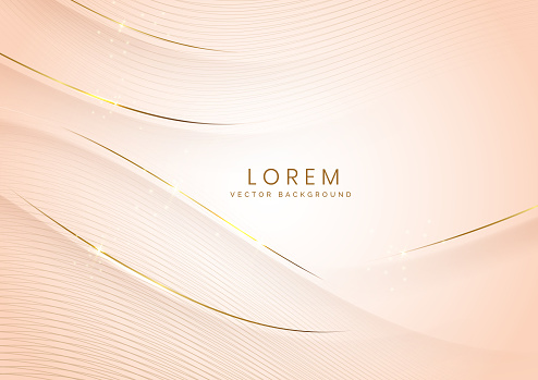 Abstract background soft brown luxury banner template wave layer with golden elegant lines wave. Luxury concept design. Vector illustation