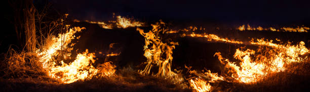 Nature on fire, panoramic view. Night shot. Arson and fire, disaster and extreme events themes
