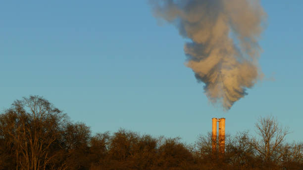 pollutant emissions by a factory fireplace - incinerator imagens e fotografias de stock