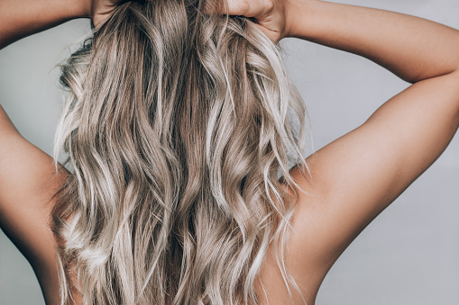 Close-up of a young tanned blonde woman standing with her back with the wavy hair isolated on a gray background. Result of coloring, highlighting, perming. Beauty and fashion