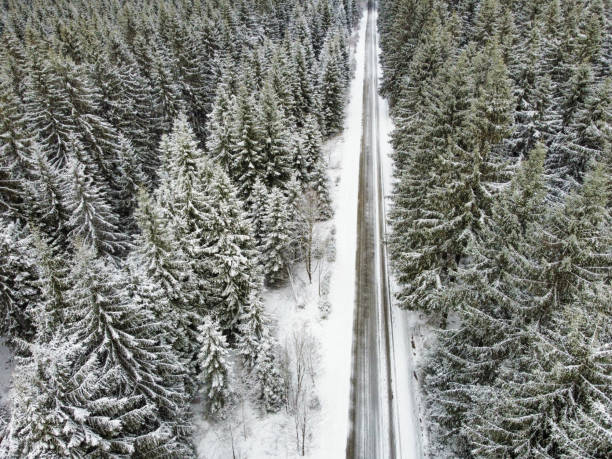 pinos cubiertos de nieve en las montañas vogtland - road winding road mountain spiral staircase fotografías e imágenes de stock